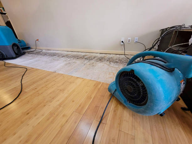 Professional Water Extraction technician working in Lilliwaup, WA